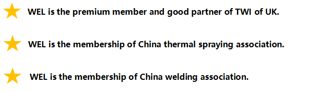 wel荣誉称号-英文.png